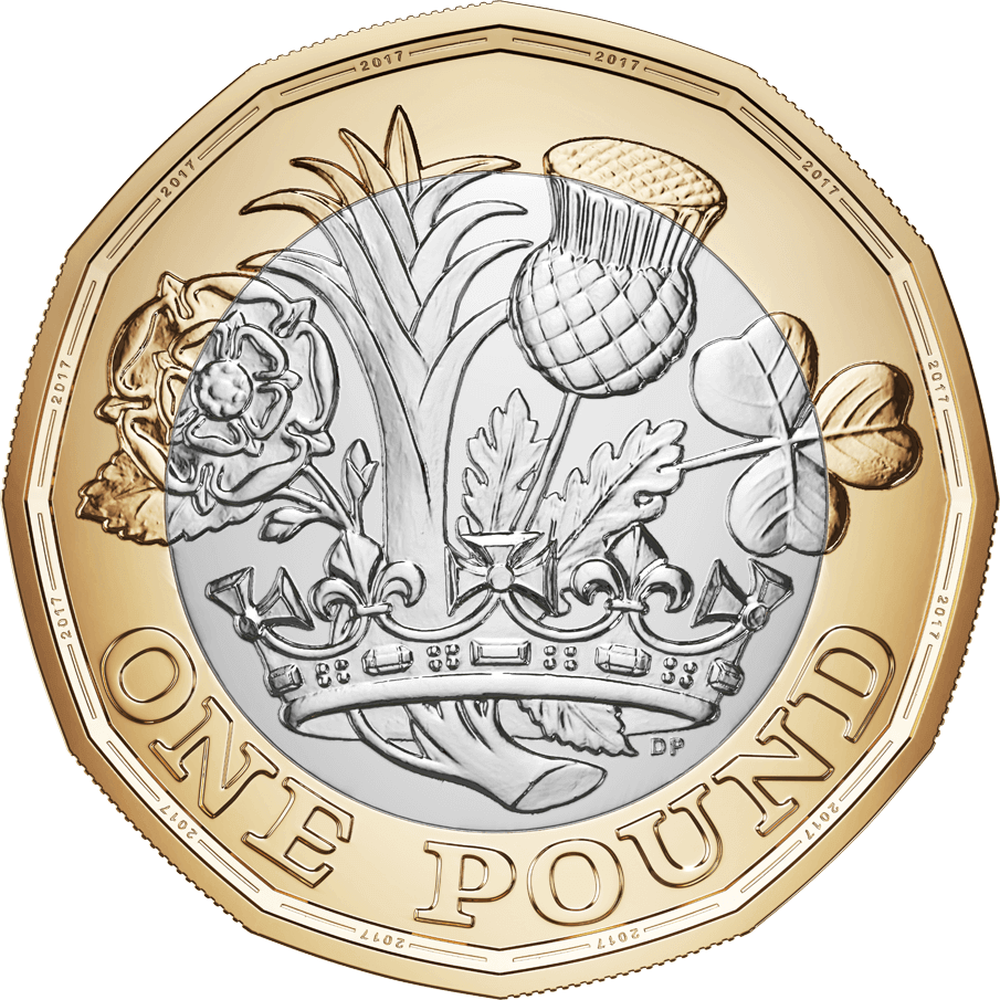 Home 2 large new pound rev