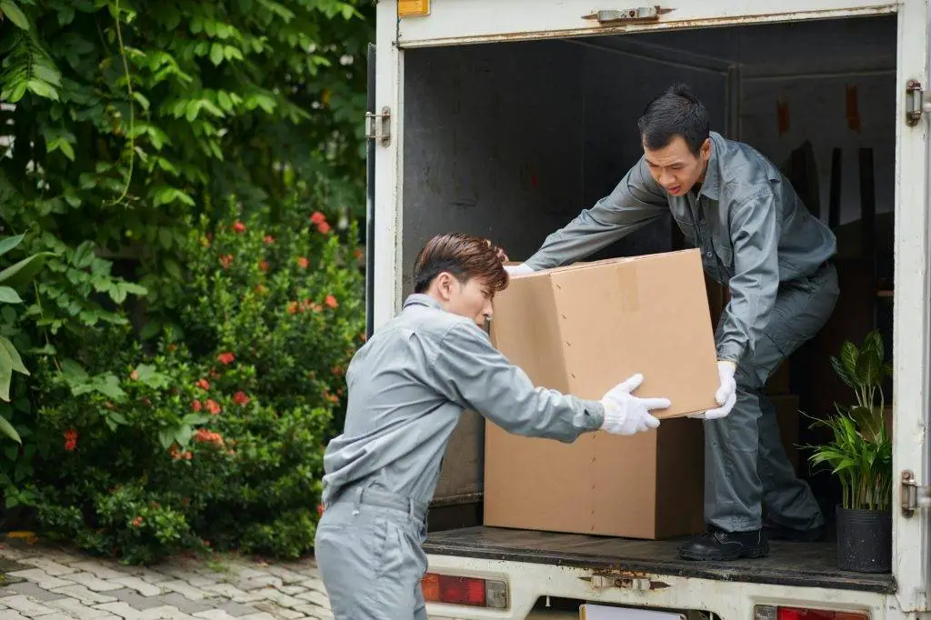 Movers Loading Boxes in Van Removals Bromley