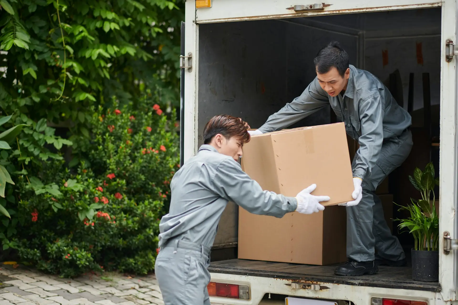 Movers Loading Boxes in Van Removals Bromley